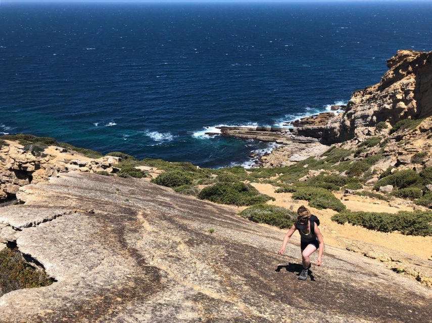 Hiking Tour Along the West Coastline - Group Size