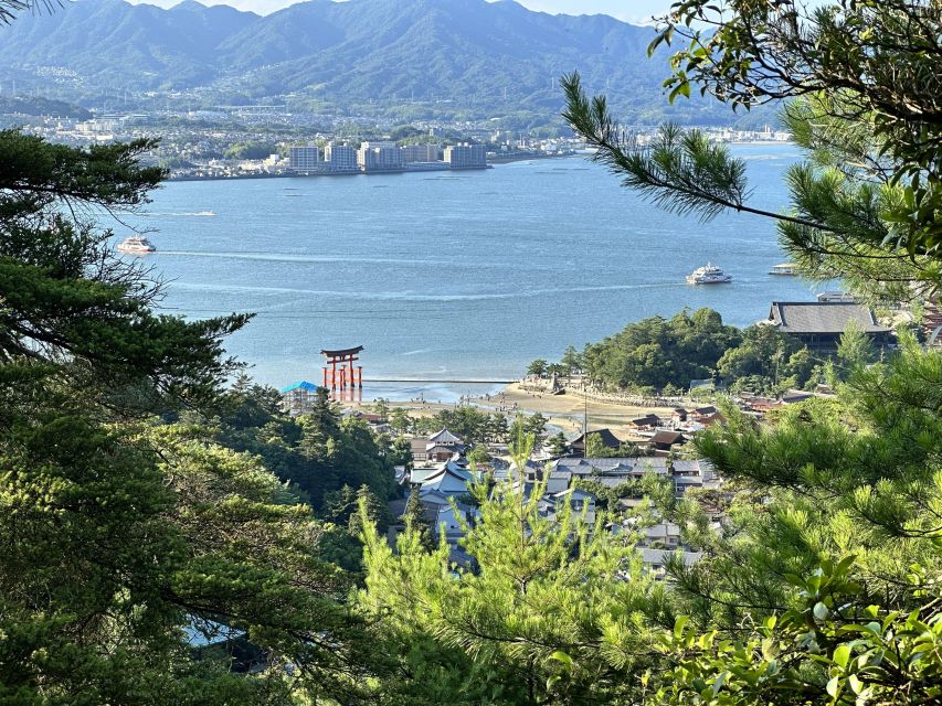 Hiroshima: Miyajima Half-day Historical Walking Tour - Health Considerations