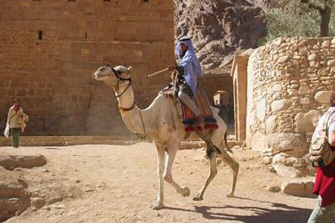 Holy Mount Sinai Climb & St Catherine Monastery - Cancellation and Refund Policy