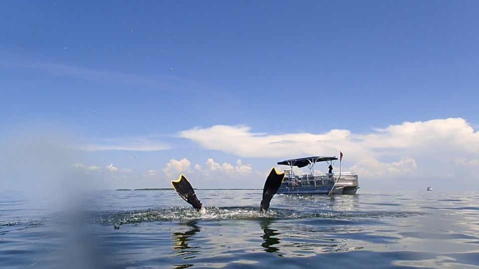 Homosassa: Snorkel & Scallop Hunt in Gulf of Mexico - Booking and Cancellation