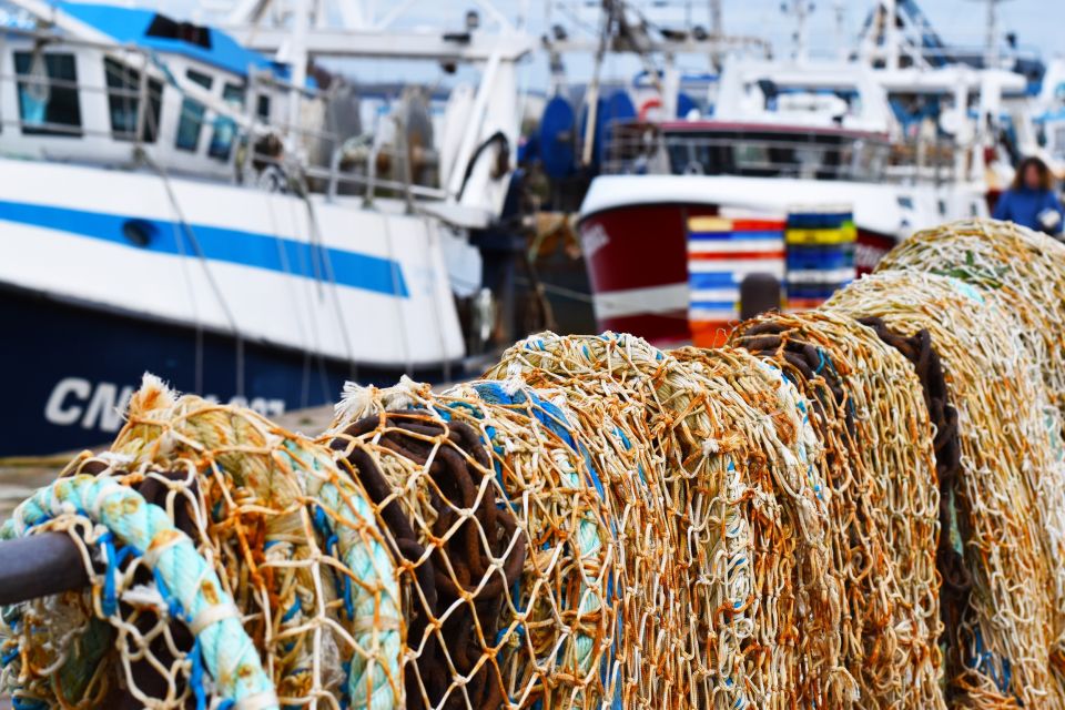 Honfleur: 1.5-Hour City Highlights Walking Tour - Honfleurs History and Transformation