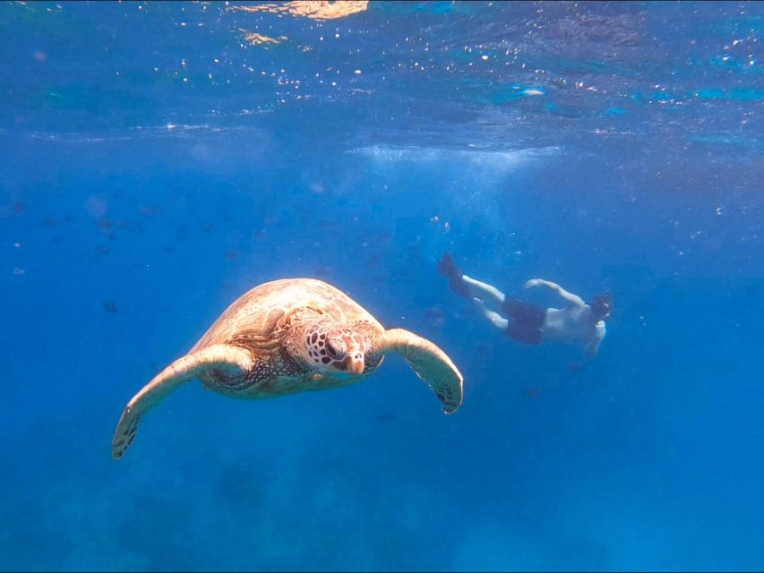 Honolulu: Snorkel With Turtles, Water Scooter, Paddleboard - Tasty Snacks and Refreshments