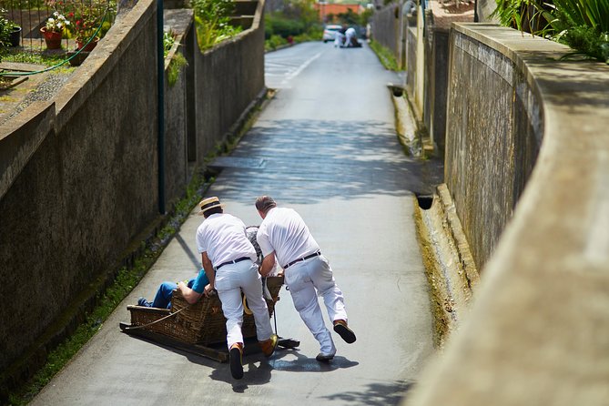 Hop-on Hop-off Bus Tour and Catamaran Whale & Dolphin Watching - Exploring Funchal Attractions