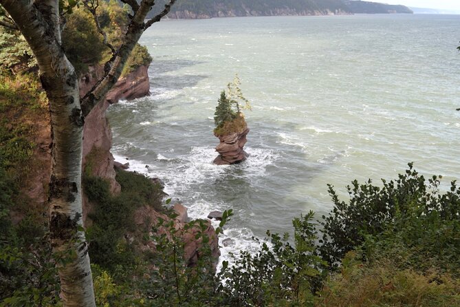 Hopewell Rocks Express Tour From Moncton - Preparing for the Hopewell Rocks Experience