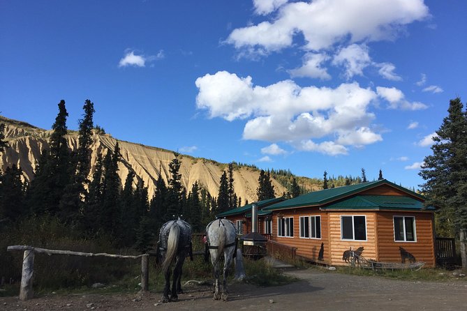 Horse-Drawn Covered Wagon Ride With Backcountry Dining - Badge of Excellence