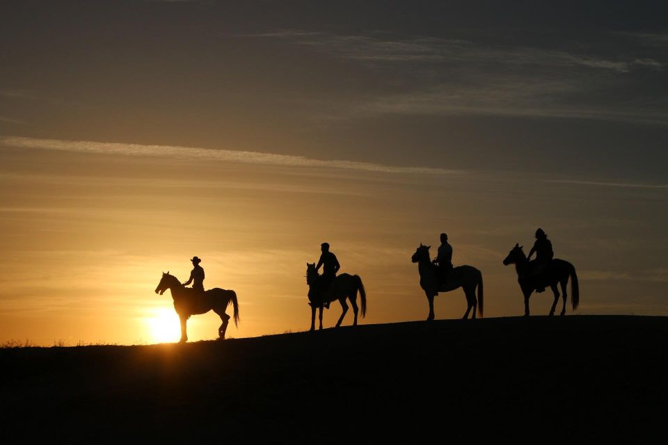 Horse Riding in Cappadocia / Hotel Pickup and Drop-Off - Experienced Tour Guide Accompaniment