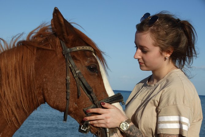 Horse Riding Tour Two Hours Sun & Sea With Transfer - Hurghada - Desert and Sea Scenery