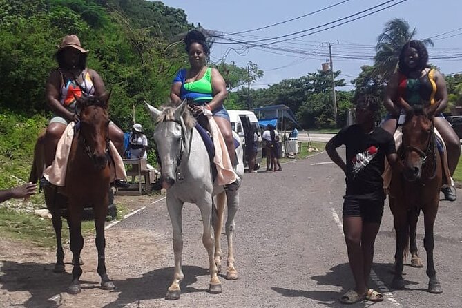 Horseback Riding and Dunns River Falls - Transportation