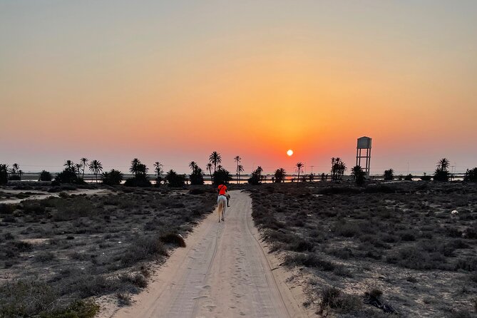 Horseback Riding at Sunrise 3h - Physical Fitness Requirement