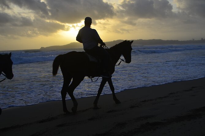 Horseback Riding at Sunrise on the Beach of Punta Cana - Free Trial of Cigars