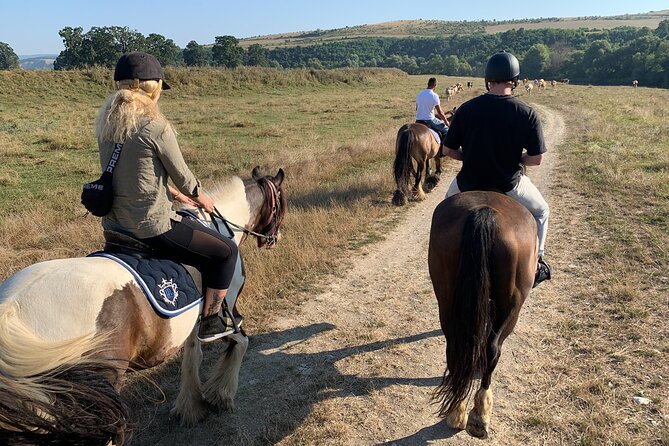 Horseback Riding Tour In Brasov - Ride Through Fields, Forests & Hills - Booking and Reservation