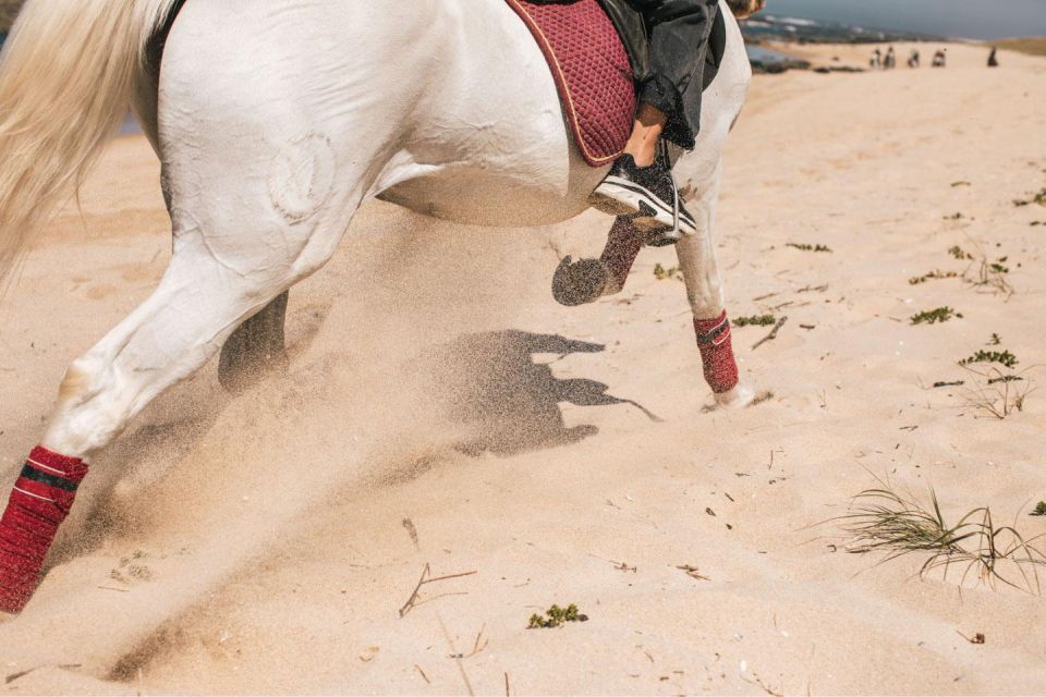 Horseback Riding Tour - Tour Type