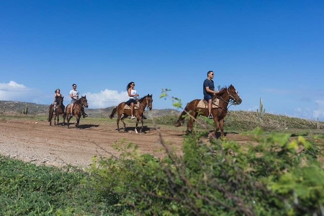 Horseback Riding Wariruri Beach Tour in Aruba - Exploring Wariruri Beachs Coastline