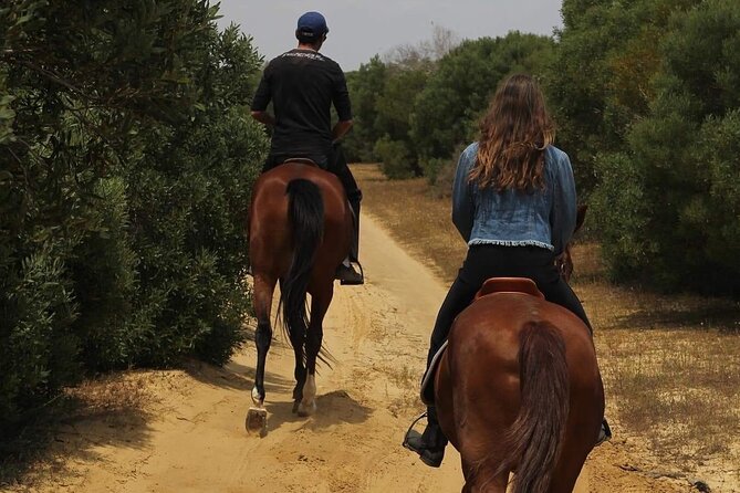 Horseback Riding With Private Transfer - Cancellation and Reservation Options