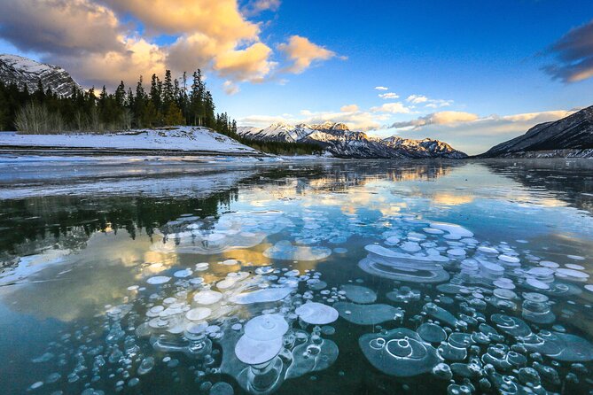 Icefields Parkway & Ice Bubbles of Abraham Lake Adventure - Lunch Options and Dietary Needs