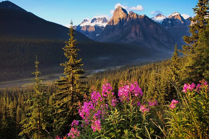 Icefields Parkway Self-Guided Driving Audio Tour - Comprehensive Route and Stops