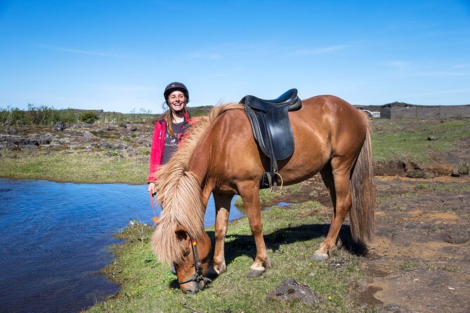 Icelandic Horse Riding and Whale Watching Tour From Reykjavik - Combining Outdoor Adventures