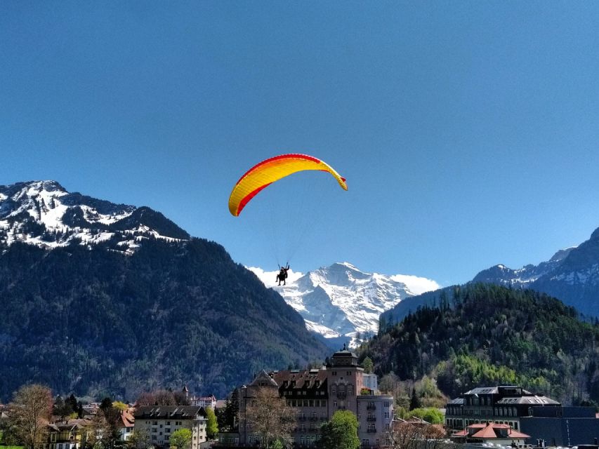 Interlaken & Grindelwald (Private Tour ) - Tour Languages