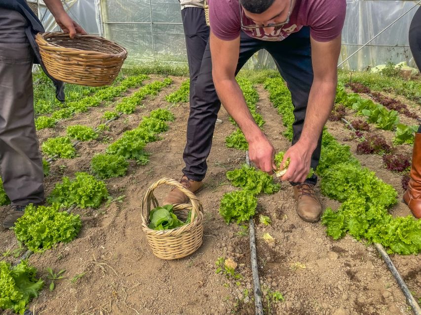 Ioannina: East Zagori Farming Experience & Cooking Class - Getting to the Meeting Point