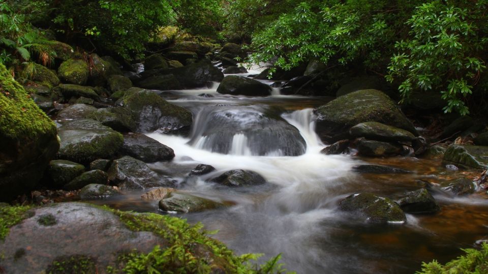 Ireland: 2 Day Wild Atlantic Way Tour - Highlights of the Tour