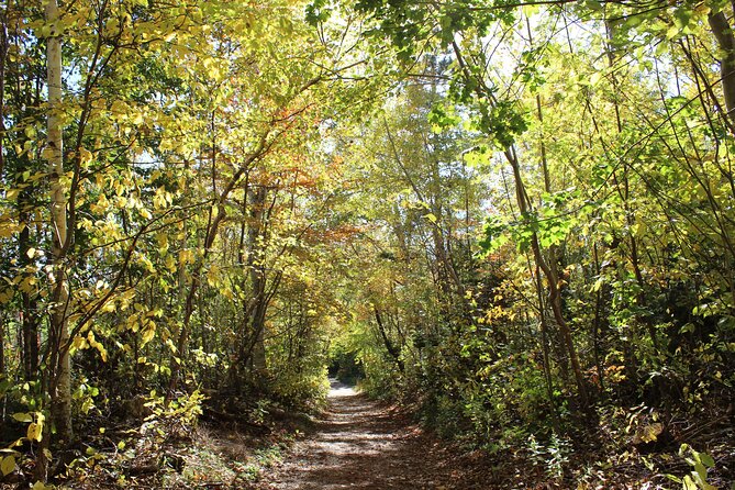 Island Drive & Anne of Green Gables Tour - Booking Confirmation and Accessibility