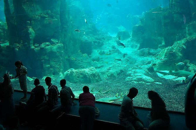 Istanbul Aquarium and Aqua Florya Independent Shopping Trip - Shopping and Dining