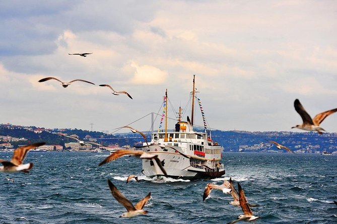 Istanbul Classics and Bosphorus Cruise Private Tour - Pricing and Reservations