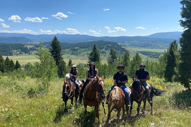 Jackson Hole Horseback Riding in the Bridger-Teton National Forest - Recommendations for First-Time Riders