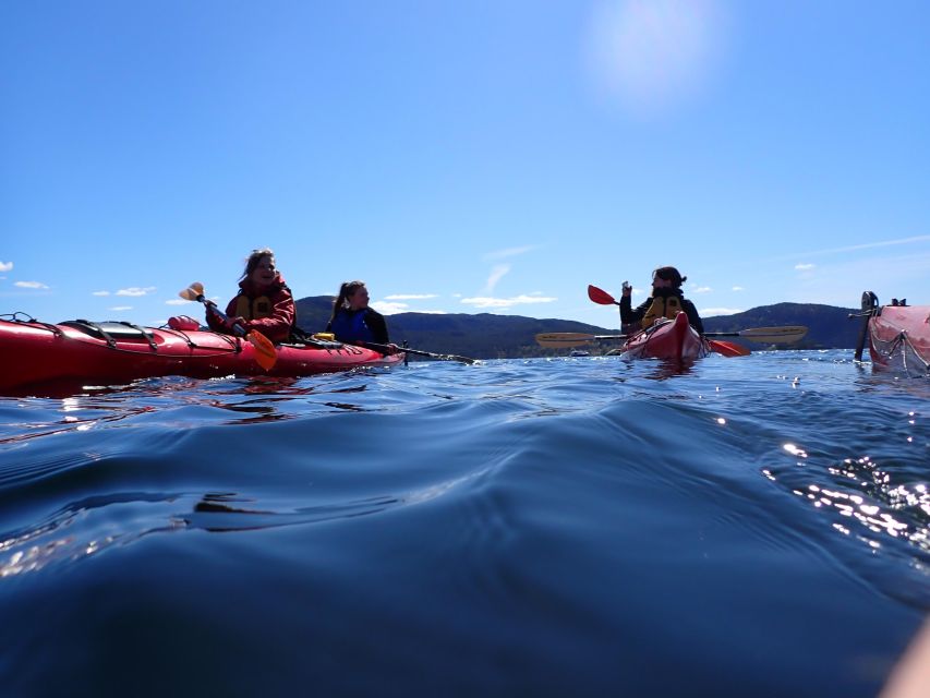 Jørpeland: Guided Fjordtour Kayak - Frequently Asked Questions