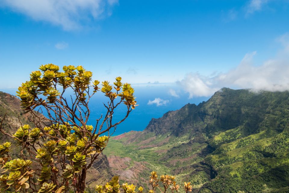 Kauai: Island Highlights Self-Guided Audio Driving Tour - Important Information