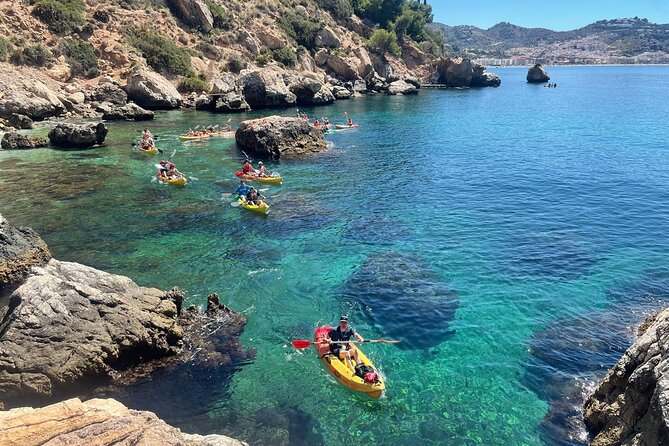 Kayak and Snorkelling Excursion at Maro-Cerro Gordo Cliffs - Operator Response to Feedback