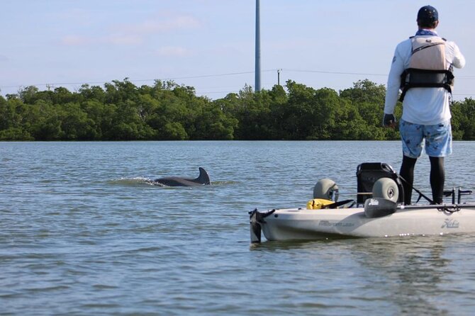 Kayak Tour Adventure Marco Island and Naples Florida - Health and Safety Considerations