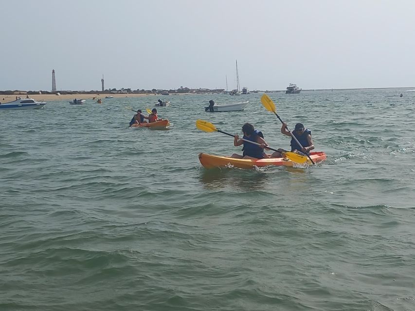 Kayak Tour in Ria Formosa - Olhão - What to Expect