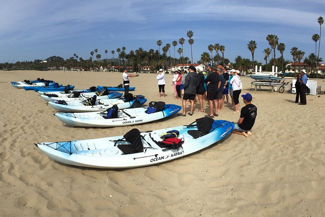 Kayak Tour of Santa Barbara With Experienced Guide - Sights and Wildlife