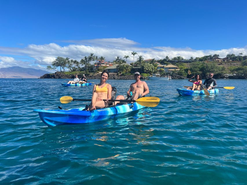 Kayak, Whale Watch And Snorkel At Turtle Town - Customer Ratings