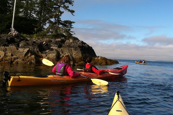 Ketchikan Kayak Eco-Tour - Customer Experiences