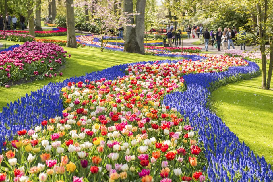 Keukenhof: Flower Fields Small-Group Cultural Bike Tour - Cycling Safety