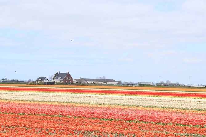 Keukenhof Gardens and Delft Guided Tour From Amsterdam - Important Information