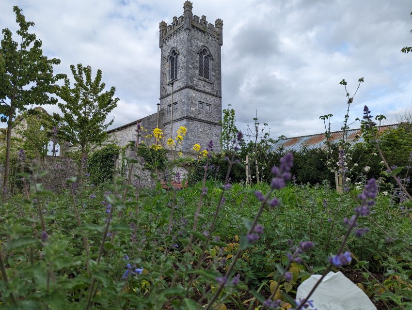 Kilkenny: Historical Highlights Walking Tour - Guided Tour Details