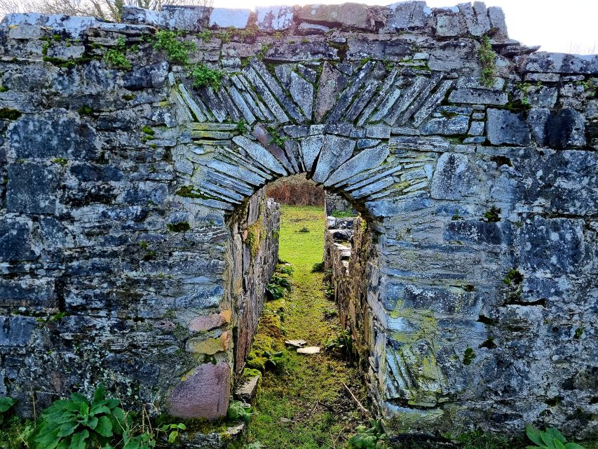 Killarney: Guided Boat Tour to Innisfallen Island - Highlights of the Tour