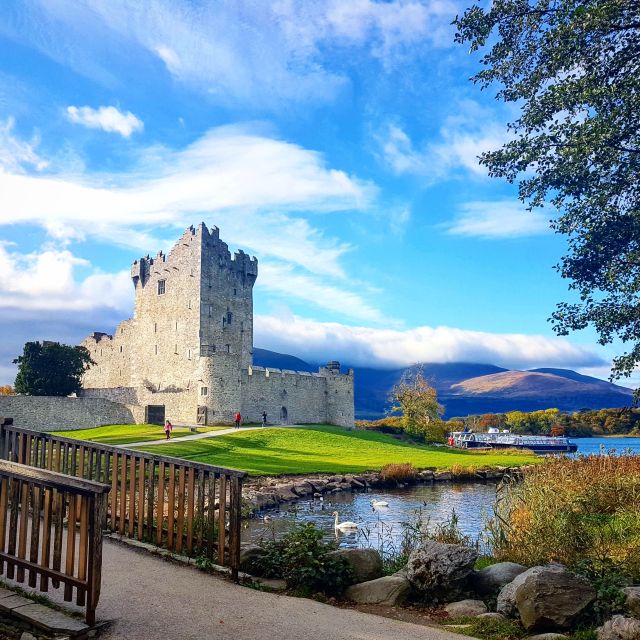 Killarney on Horse & Carriage: 1-Hour Jaunting Car Tour - Transportation and Commentary