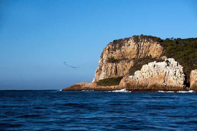 Knysna Heads & Lagoon Adventure Tour - Flexible Booking and Cancellation