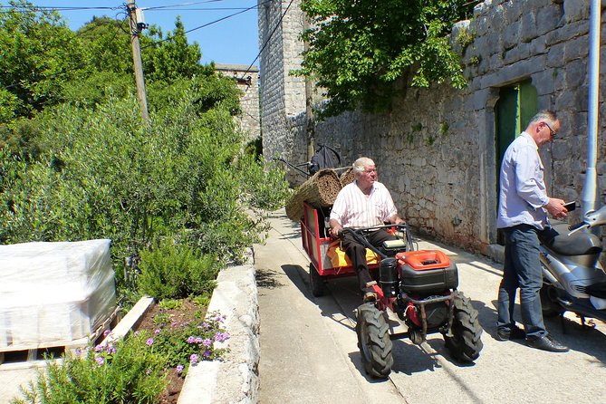 Kolocep Island Hiking and Swimming Full Day Trip From Dubrovnik - Experience for Nature Lovers