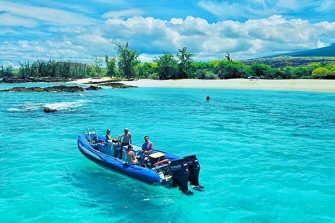 Kona Dolphin, Sea Cave & Captain Cook / Kealakekua Bay Adventure! - Knowledgeable and Accommodating Crew