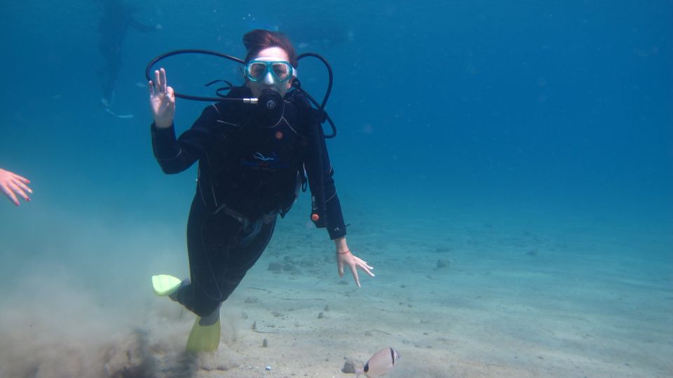 Kos: Beginner Scuba Diving at Pserimos Island - Participant Requirements