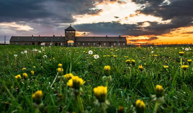 Krakow: Auschwitz-Birkenau Extended Guided Tour & Options - Transportation and Tickets