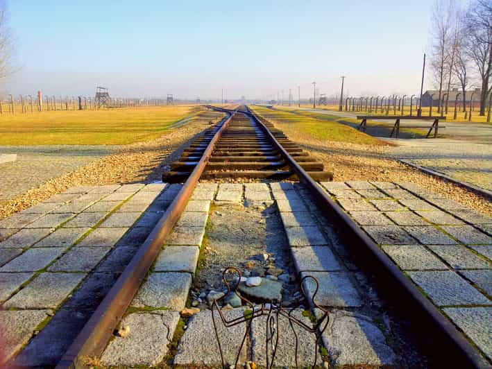 Krakow: Auschwitz-Birkenau Memorial Tour With Optional Lunch - Customer Feedback and Reviews