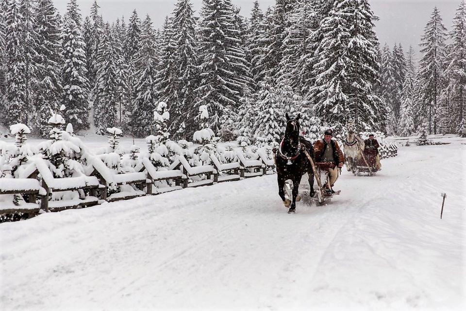 Kraków Frame; Tatra Mountain Sleigh Ride in Zakopane - Cancellation Policy