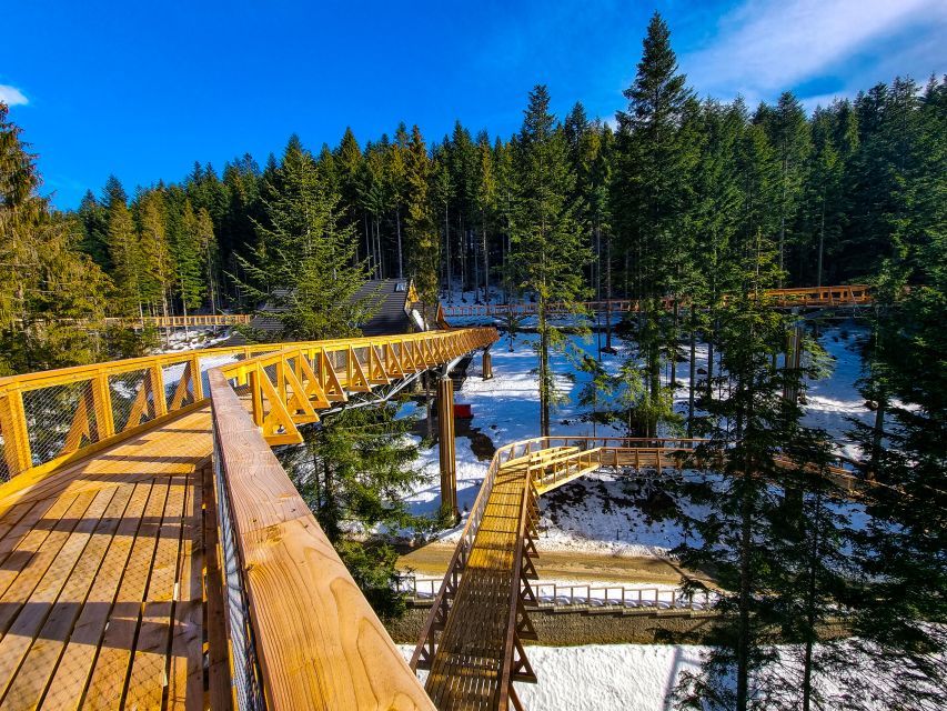 Krakow: Zakopane, Thermal Baths and Gorce Park Treetop Walk - Relax in Natural Baths