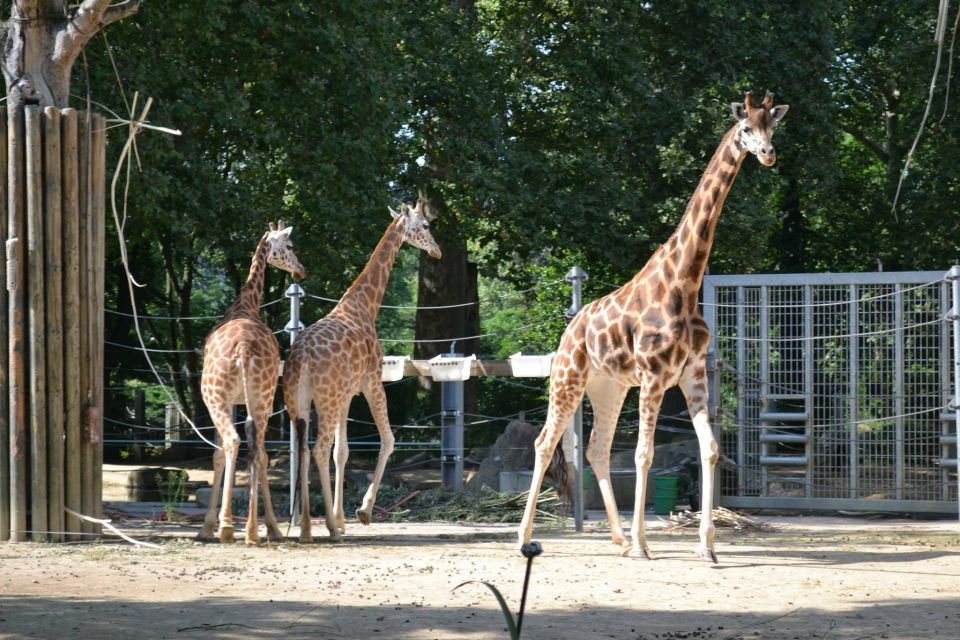 Krakow: Zoo Tour With Private Transport and Tickets - Frequently Asked Questions